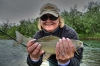 HappeningsJuneJuly08Grayling.jpeg
