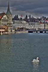 FirstEuropeTripSwan.jpg