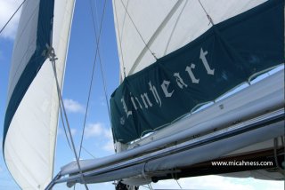 TheLionheartSail.jpg