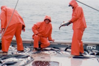 kodiaksalmonclose.jpg