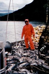 kodiakwalkboat.jpg