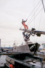 kodiakhanging.jpg