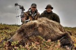 Tale of Two Bears