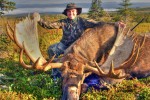 A Long Shot Bull
