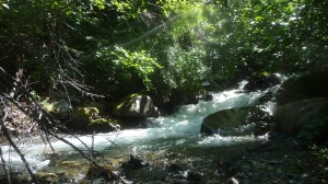 calm stream